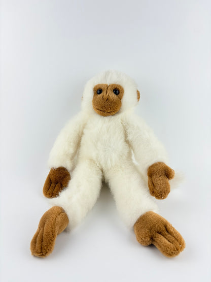 Einstein
